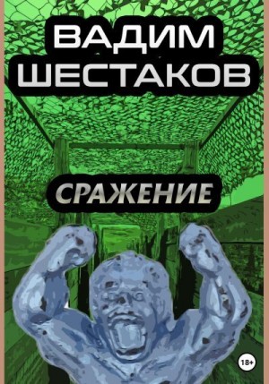 Шестаков Вадим - Сражение