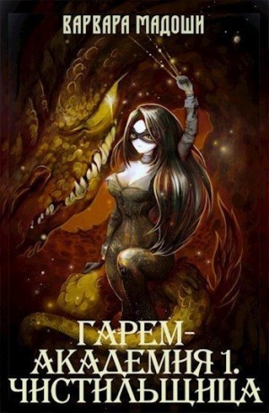 cкачать книгу Варвара Мадоши Гарем-академия 1. Чистильщица