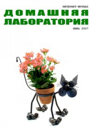 Журнал «Домашняя лаборатория» - Интернет-журнал "Домашняя лаборатория", 2007 №6
