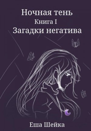 Шейка Еша - Ночная тень. Книга 1. Загадки негатива