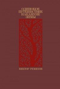 Одинокое путешествие накануне зимы