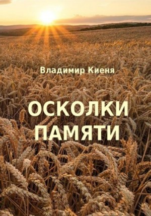 Киеня Владимир - Осколки памяти