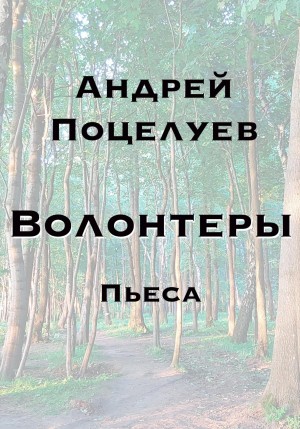 Поцелуев Андрей - Волонтеры