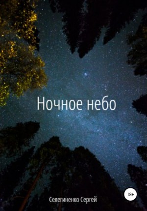Селегиненко Сергей - Ночное небо