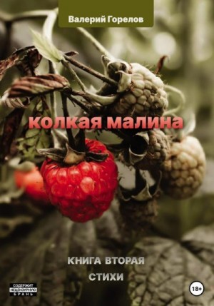 Горелов Валерий - Колкая малина. Книга вторая