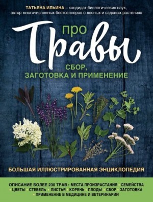 Ильина Татьяна - Про травы. Сбор, заготовка и применение