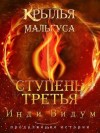 Видум Инди - Ступень третья. Часть первая