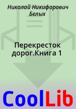 Белых Николай - Перекресток дорог.Книга 1