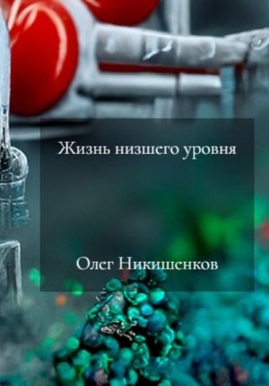 Никишенков Олег - Жизнь низшего уровня