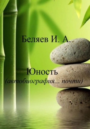 Беляев Илья - Юность. Автобиография… почти. Книга вторая. Цикл «Додекаэдр. Серебряный аддон»