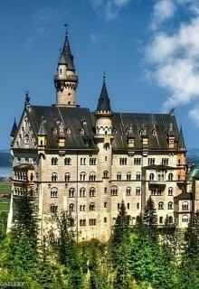 Новоселова Юлия - Волшебная школа Орзинар. Тайна симоргов