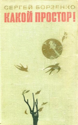 Борзенко Сергей - Какой простор! Книга вторая: Бытие
