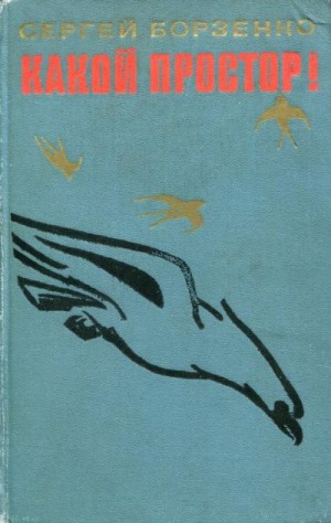 Борзенко Сергей - Какой простор! Книга первая: Золотой шлях