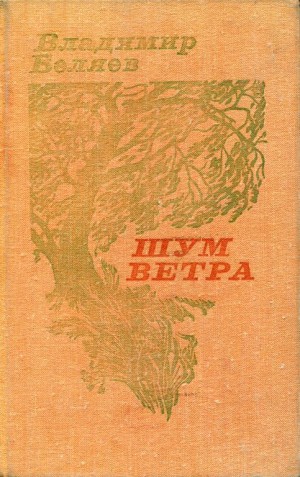 Беляев Владимир - Шум ветра