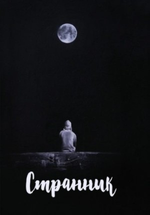 cкачать книгу Тимур Толибаев Странник