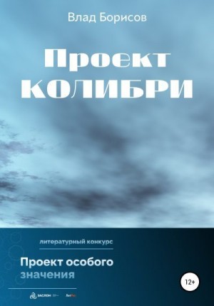 Борисов Влад - Проект Колибри