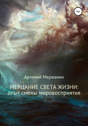 Мержанин Артемий - Мерцание света жизни: опыт смены мировосприятия