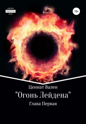 Идрисов Омар - Огонь Лейдена. Глава первая