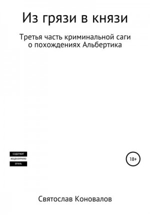 Коновалов Святослав - Из грязи в князи