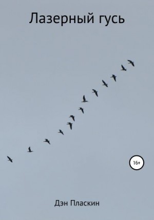 Пласкин Дэн - Лазерный гусь