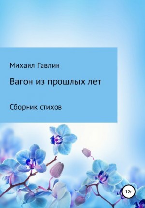 Гавлин Михаил - Вагон из прошлых лет. Сборник стихов