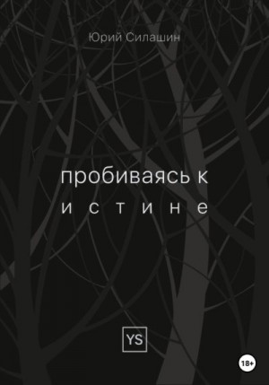 Силашин Юрий - Пробиваясь к истине