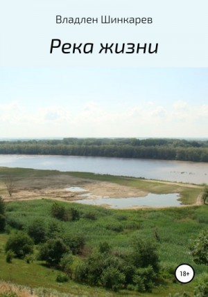 Шинкарев Владлен - Река жизни