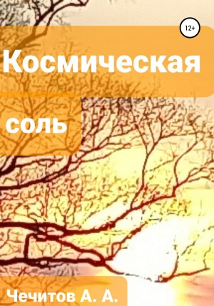 Чечитов Александр - Космическая соль