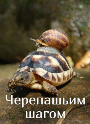 Fire Pale - Черепашьим шагом
