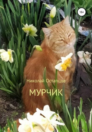 Остапцов Николай - Мурчик