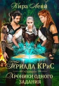 Триада КРиС. Хроники одного задания