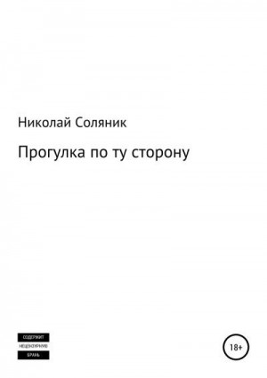 Соляник Николай - Прогулка по ту сторону