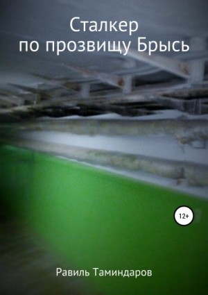 Таминдаров Равиль - Сталкер по прозвищу Брысь