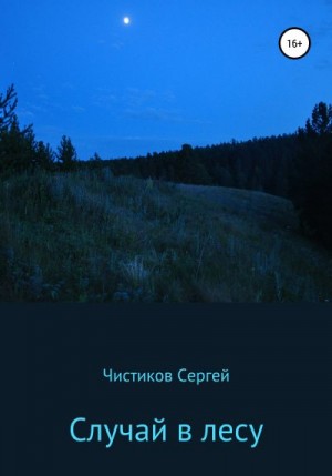 Чистиков Сергей - Случай в лесу