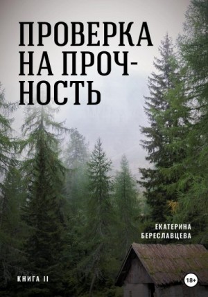 Береславцева Екатерина - Проверка на прочность