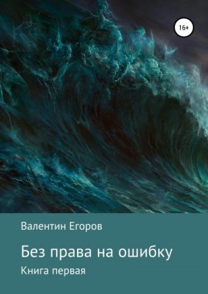 Егоров Валентин - Без права на ошибку. Книга первая