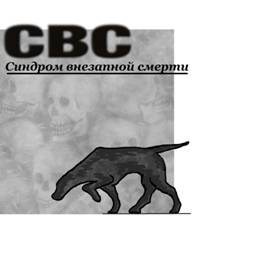 Бабулин Константин - СВС (Синдром Внезапной Смерти)