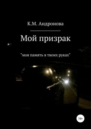 Андронова К.М., Шкадов А.М. - Мой призрак