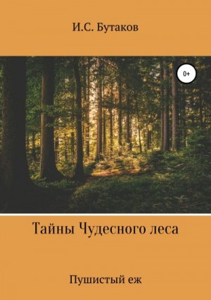 Бутаков Иван - Тайны Чудесного леса. Пушистый ёж