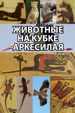 l_eonid - Животные на кубке Аркесилая