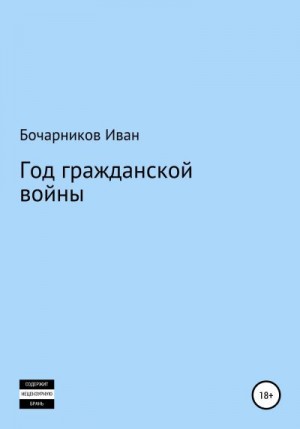 Бочарников Иван - Год гражданской войны