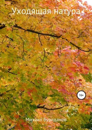 Буриданов Михаил - Уходящая натура