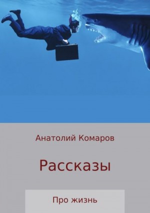 Комаров Анатолий - Рассказы про жизнь