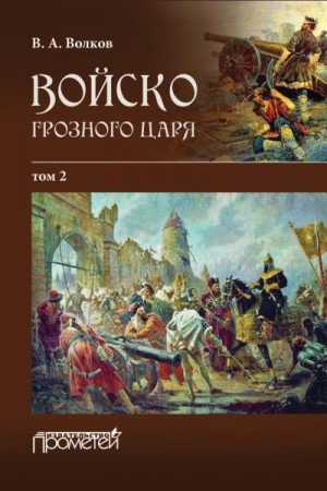 Волков Владимир - Войско грозного царя. Том 2