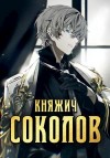 Саваровский Роман - Княжич Соколов