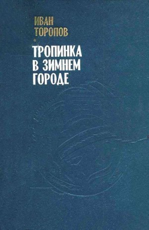 Торопов Иван - Тропинка в зимнем городе