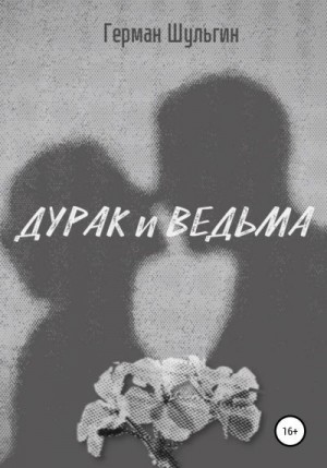 Шульгин Герман - Дурак и ведьма