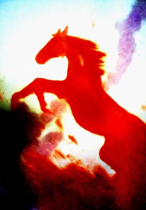 Белозерцева Таня - Лошадиная душа