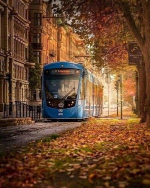 Грохт Александр - Пищевая цепочка