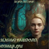 Кузница душ
